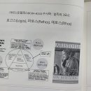 한국농업마이스터협회 Daum카페