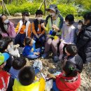 정읍사공원 유아숲체험원 이미지
