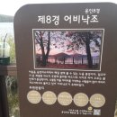 용인민물매운탕 이미지