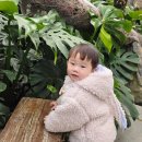 장수숯불닭갈비 이미지