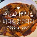 인계맛집 바다향 왕코다리 이미지