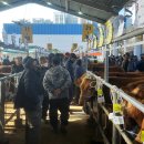 선산대로10-3 이미지