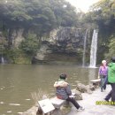 천지연 폭포 이미지