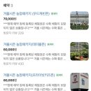 (주)팜게임넷 | 포천딸기힐링팜 포천딸기체험 포천딸기농장 포천키즈카페 아이와 함께 주말 나들이 추천 내돈내산 딸기...