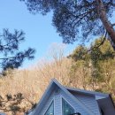 실우봉봉 네이버블로그