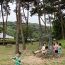 안면도 여행 : 솜니움 트리 풀빌라+ 안면도 자연휴양림 / 아이들과 함께하는 여행