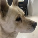 [20대 유방암 극복일기]도세탁셀+싸이톡산(TC) 2차 항암 2주차 후기/부작용/근황