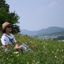 용현자연휴양림 이미지