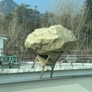 초이앤권