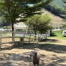 성양목장 이미지