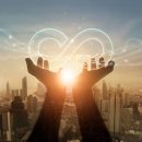 위더스인터내셔널 이미지