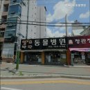펫츠나라 동물병원 네이버블로그