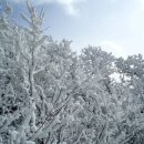 옥룡GS마켓 이미지