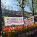 가야관광호텔 | 충남 아산 피나클랜드 튤립 개화상황 불꽃놀이 입장료 할인 주차꿀팁