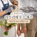 링 | 아뜰리에 호수 제주 웨딩링 후기, 가격·제작 과정 총정리