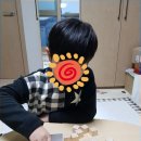 나무와 친해지기 이미지