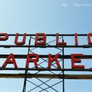 화려한 날의 오후 이미지