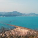 진도의 바닷길 티스토리