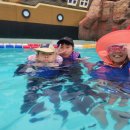 용인대성서태권도 이미지