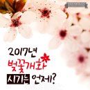 봄꽃산부인과의원 이미지