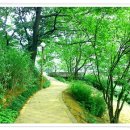 은평노인종합복지관 이미지