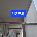 사파동250 이미지