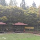 천일유치원 이미지