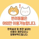 명지원 | 광주 근교 카페 전남 한옥카페 담양 더치스토리카페 명지원 후기