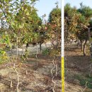 심산농장 이미지