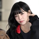 이채영 카카오 검색결과