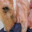 댕댕점빵 이미지