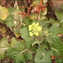 성산포해물탕 이미지