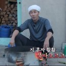 얼룩말직구