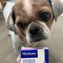 보라시민약국 이미지