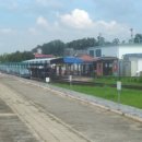 꼴통왓도그 이미지