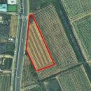 현풍농장 이미지