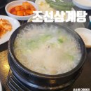조선삼계탕 | [수원/수원시청역] 몸보신이 필요할 때 찾는 '조선삼계탕' 내돈내산 후기