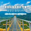 봉명산 출렁다리 이미지