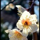 어머니의 마음 이미지