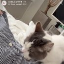코쿤스토리