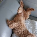 (주)카이퍼 이미지