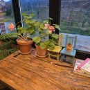 꽃피는산골스테이 이미지