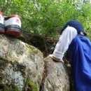 청솔초등학교 이미지