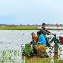 영진농장 이미지