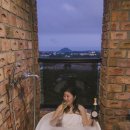 제주 브로딕 이미지