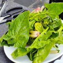 써니퍼피 | [영화]명탐정 코난 극장판 3기 세기말의 마술사 보고 압구정 어글리퍼피 +압구정 진주에서 먹고 논 후기