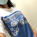 율리스 이미지