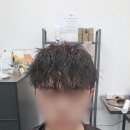 블란도헤어