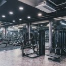 짐라이트 이미지