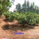 우리부동산랜드공인중개사사무소 이미지